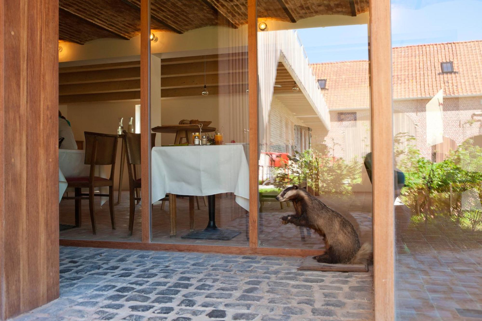 B&B De Deugdzonde Sint-Denijs Екстериор снимка